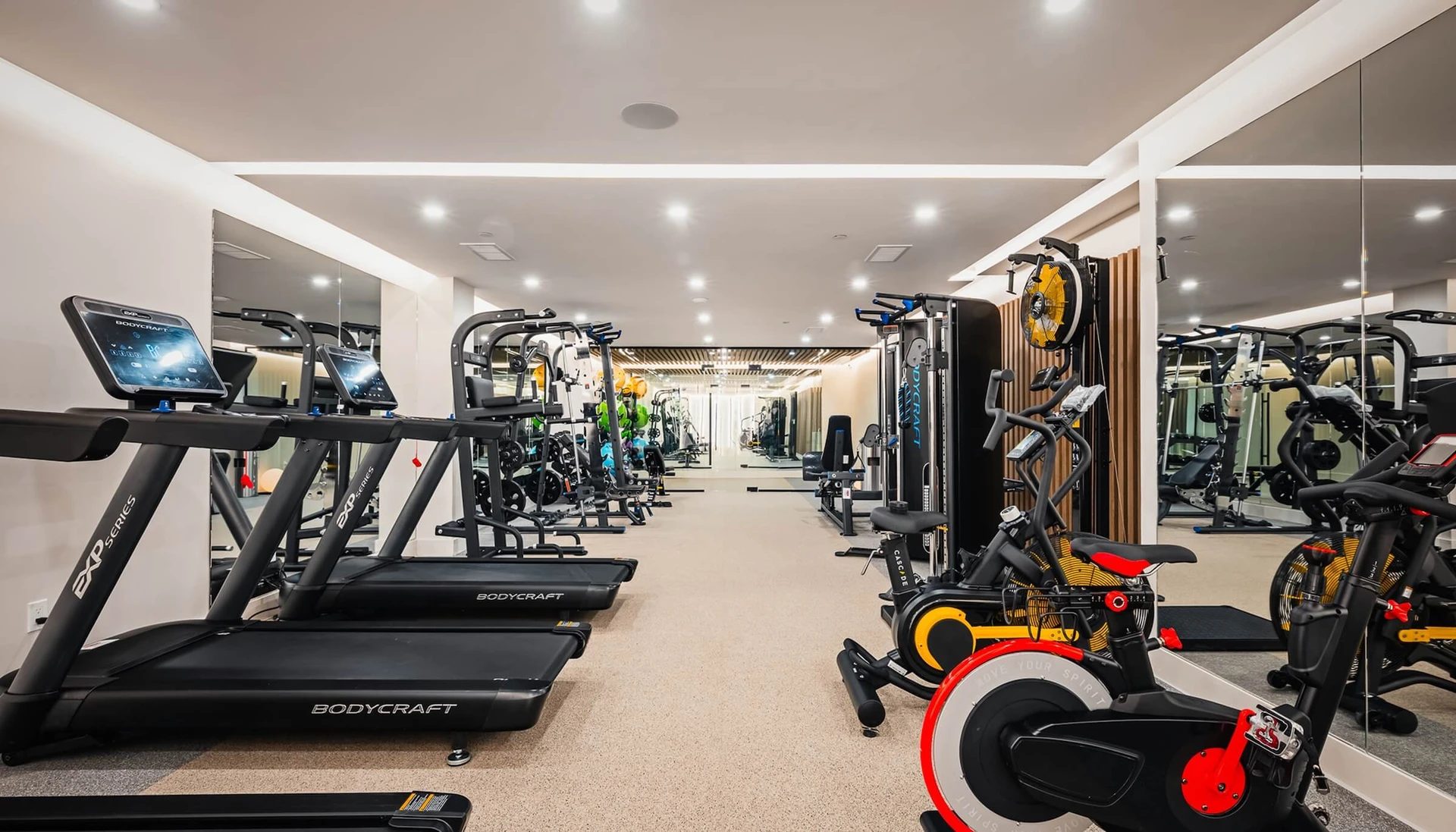 Gym